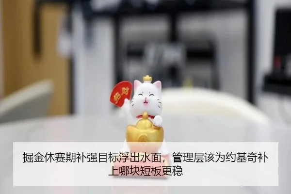 掘金休赛期补强目标浮出水面，管理层该为约基奇补上哪块短板更稳 - C7 Entertainment